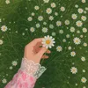 almstxhdam4