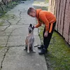 deki.farmer