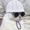 meowslimcat
