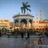 Blida photographe