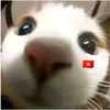 lok_bitdi