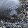 reyespjm