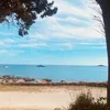 dornidageile_08