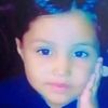 zain.ali9553