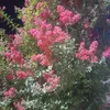 twana.bio