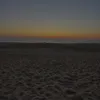 aym_828