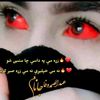 user381404857