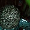 ic_abanop1