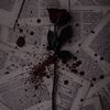 chainsoftherose