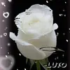 fatima.dias00