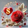 user79956136514866