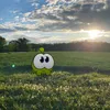 krutiscka__kivi