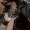 mila_gros184