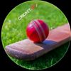 acl_cricket804