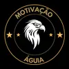 mootivacao_aguia