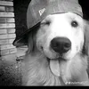 edgar.castro.olgu