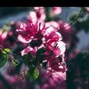 mohammed.abdelrah61