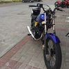 warzes135