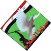 sraia_313