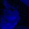 timofvxx1cl