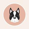 Boston Terrier World