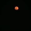 luis_alcides1229