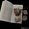 fakelove8887