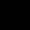 213.fet