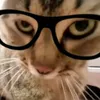 lilyhaeil