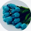 user26116181936122