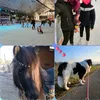 maya_zelchi_