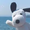 tiencoi.k