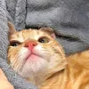 embarbyang