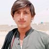 liaqat.ali493