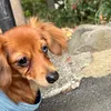 情報という贈り物