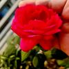 user9351430172034