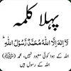sajjad.hussain6026