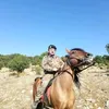 stefanos.dimzas