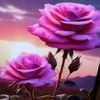 user776330160324