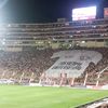 pocho4999
