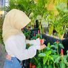 aly_sia4
