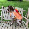 missy220737