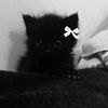 uzr_2130