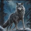 graywolfhowling