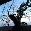 adam.bigzs
