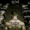 boxerboy217