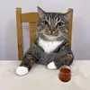 ngoctwizz