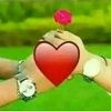 rihad.jimma