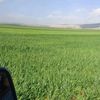 idlib22.9