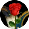 user88425473561875